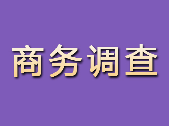 鹤壁商务调查